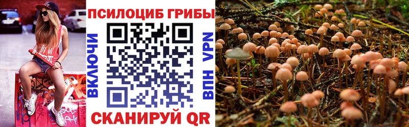 Псилоцибиновые грибы мухоморы  Купить  Дзержинск 