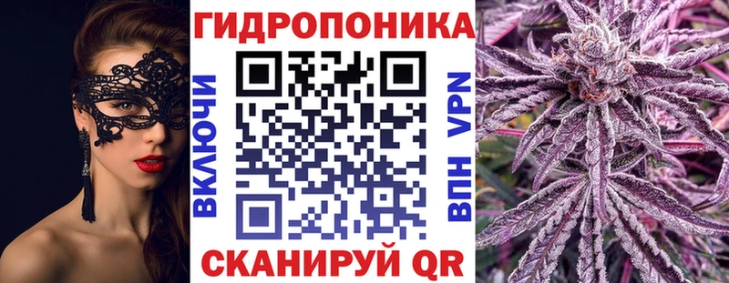 Марихуана планчик  Купить где  Дзержинск 